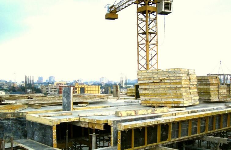 Prediction of Scaffolding Development Momentum in China Market