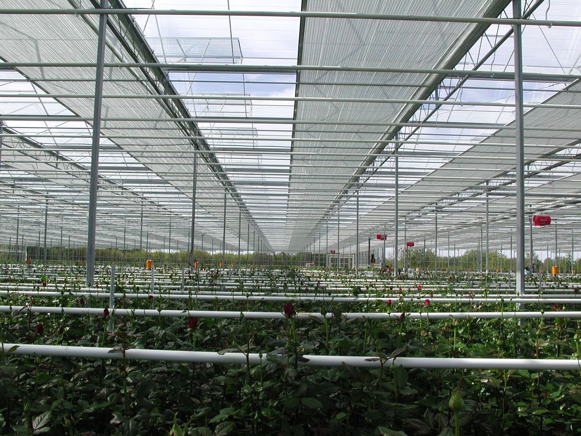 What Types of Shade Netting are There in the Market?